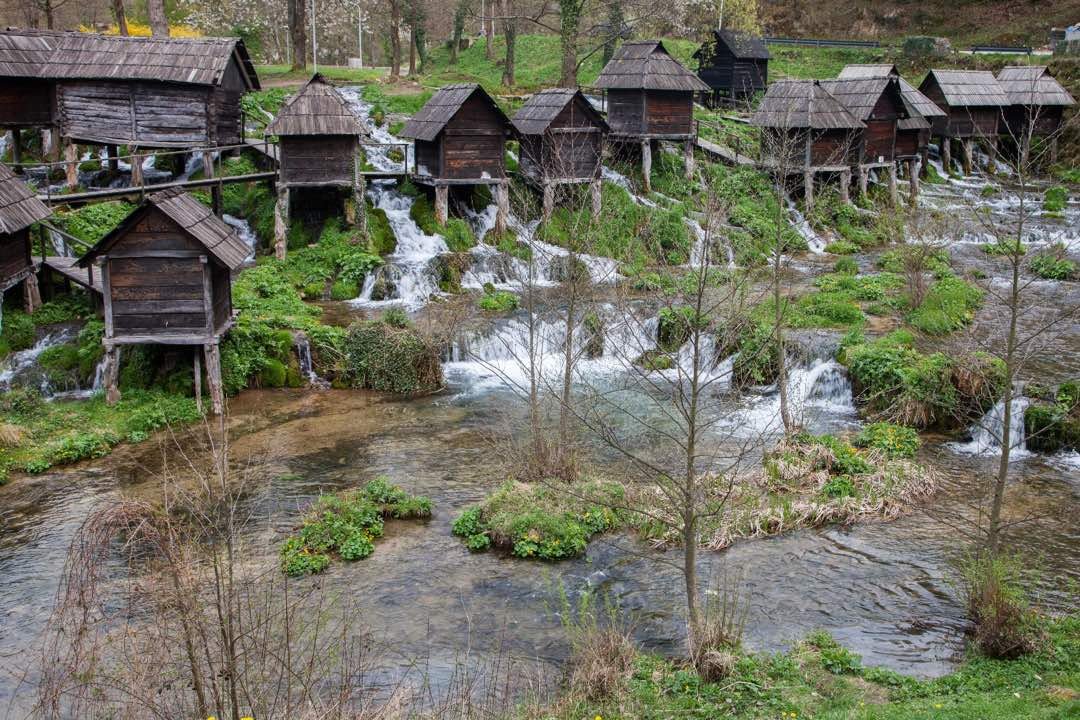 Pictures of Prakash Bang